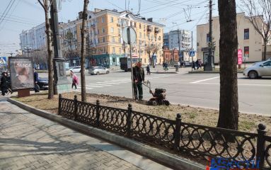 Устройством газонов занимаются на красных линиях в Хабаровске