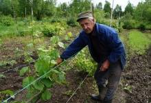 Грунт, чернозем Калуга купить продать, заказать, цены на портале Почему на похороны приносят четное количество цветов?
