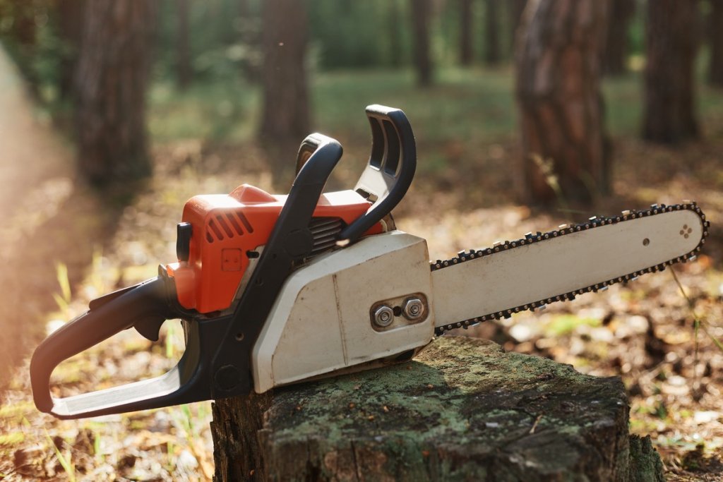 outdoor-closeup-shot-chainsaw-stump-wood.jpg