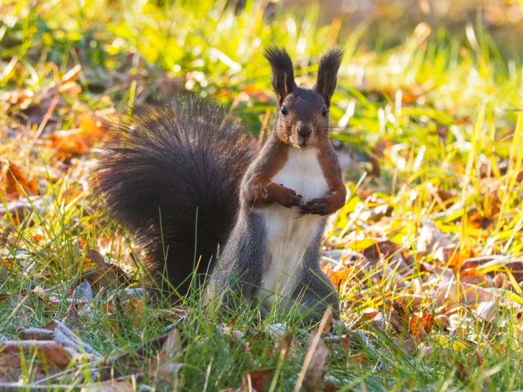 photo1669425891 (1).jpeg