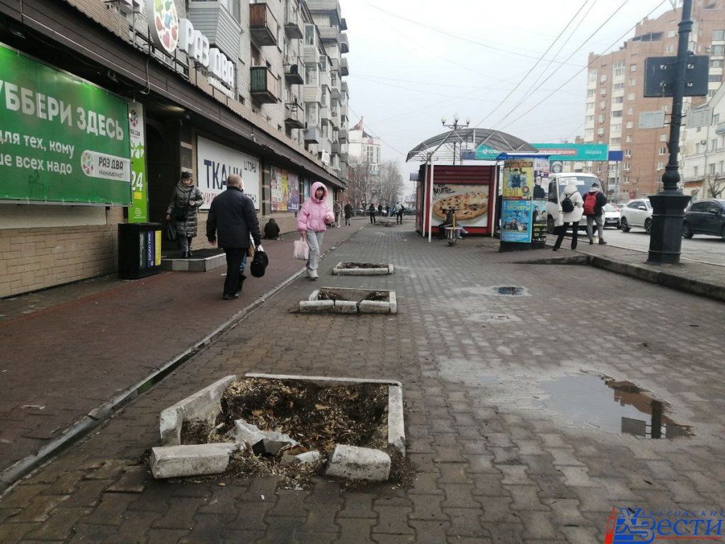 Пни.jpg