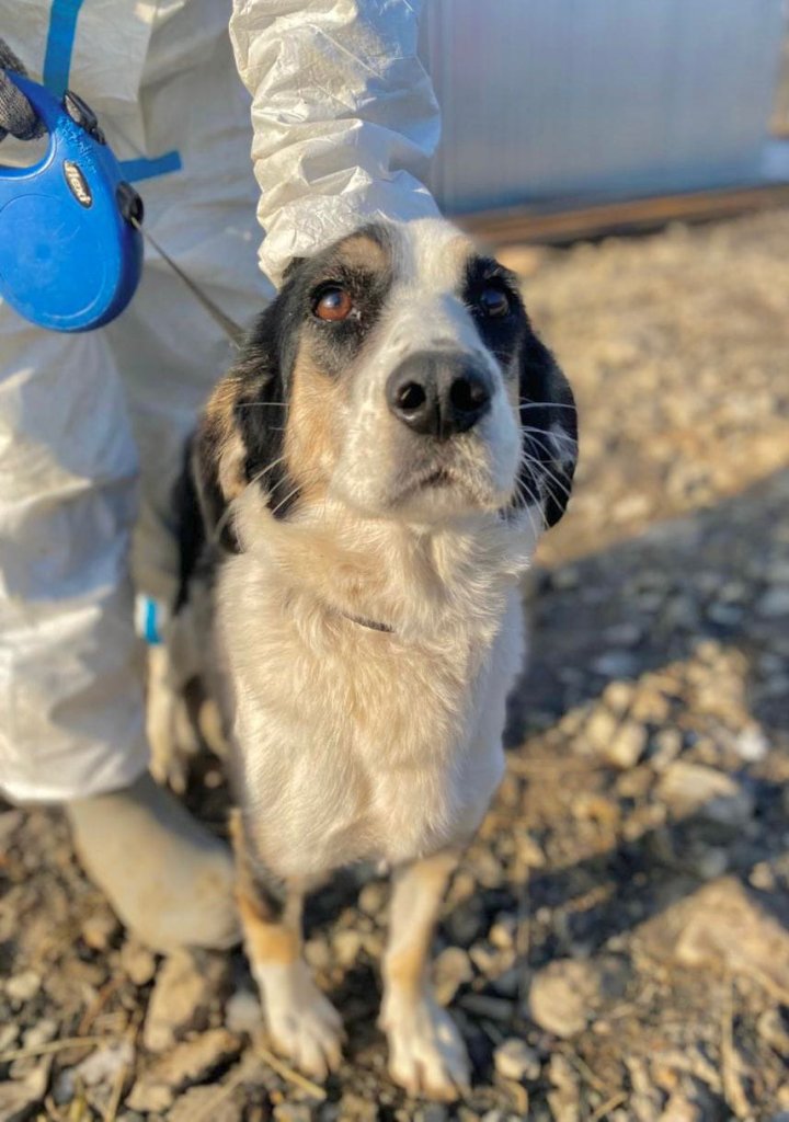 Девочка 14.jpg