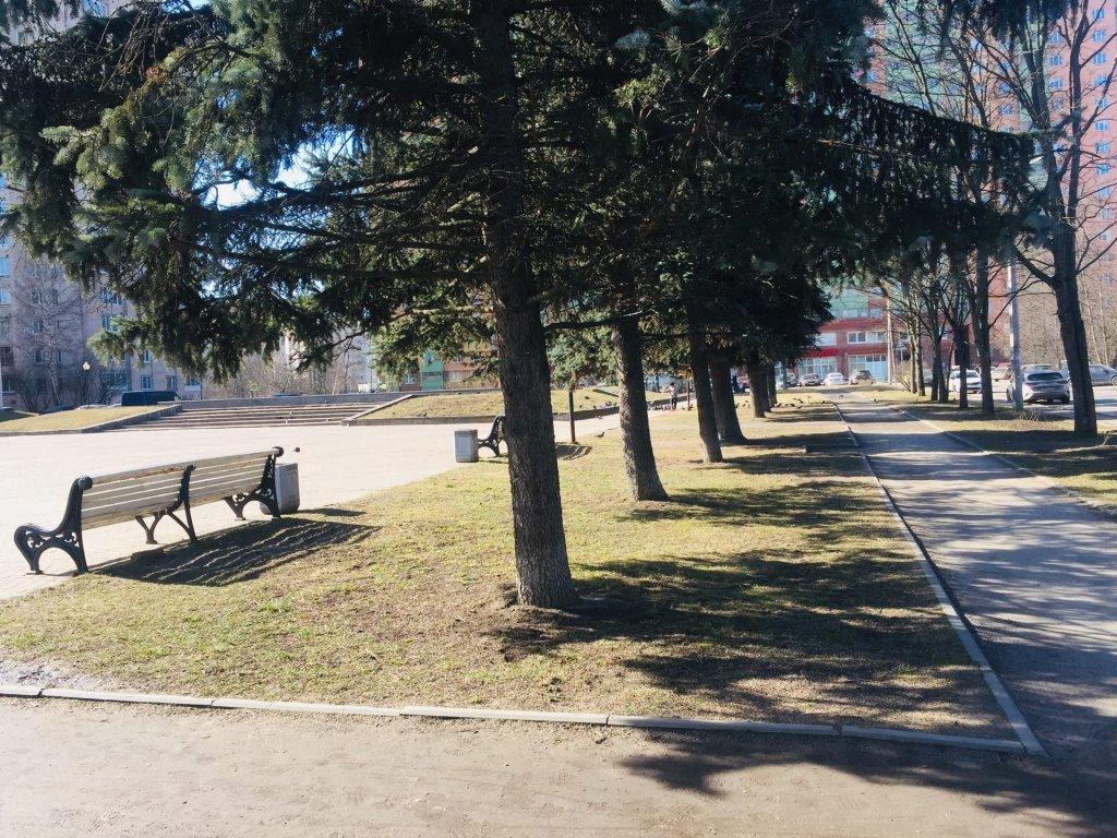Питер.jpg