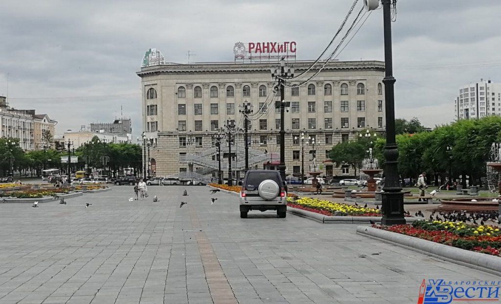 парковка.jpg