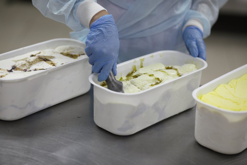 _MG_6360.jpg _MG_6360.jpg