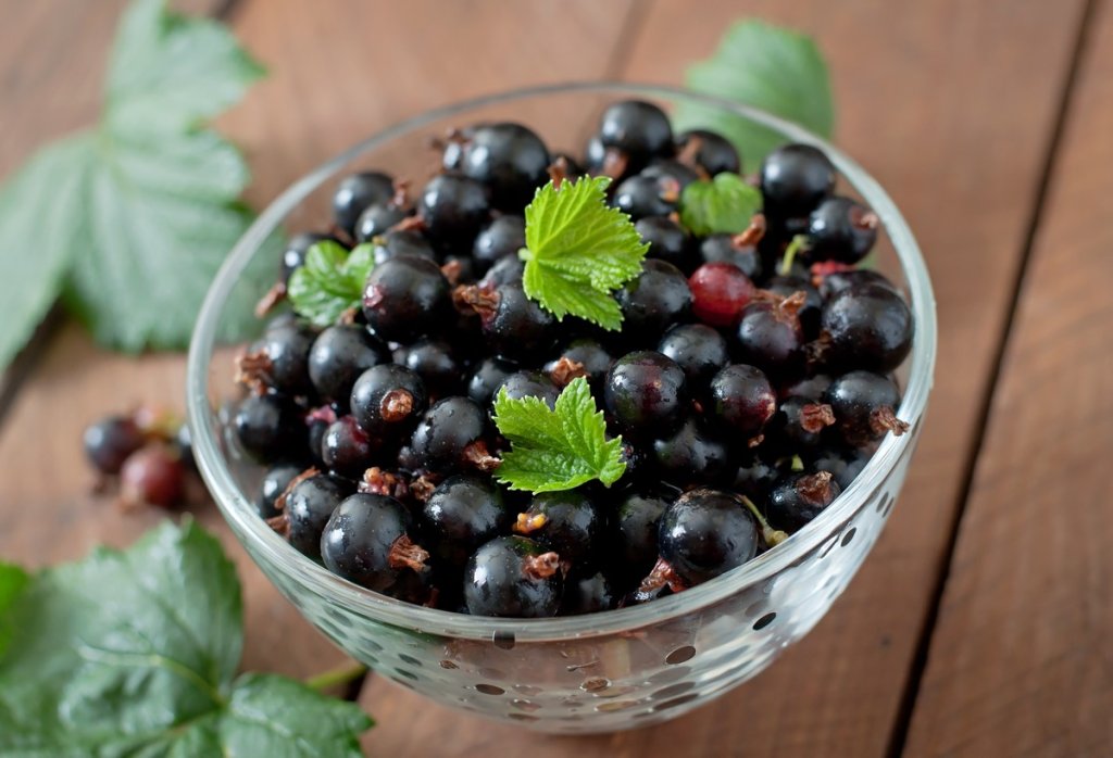 black-currants-glass-bowl.jpg