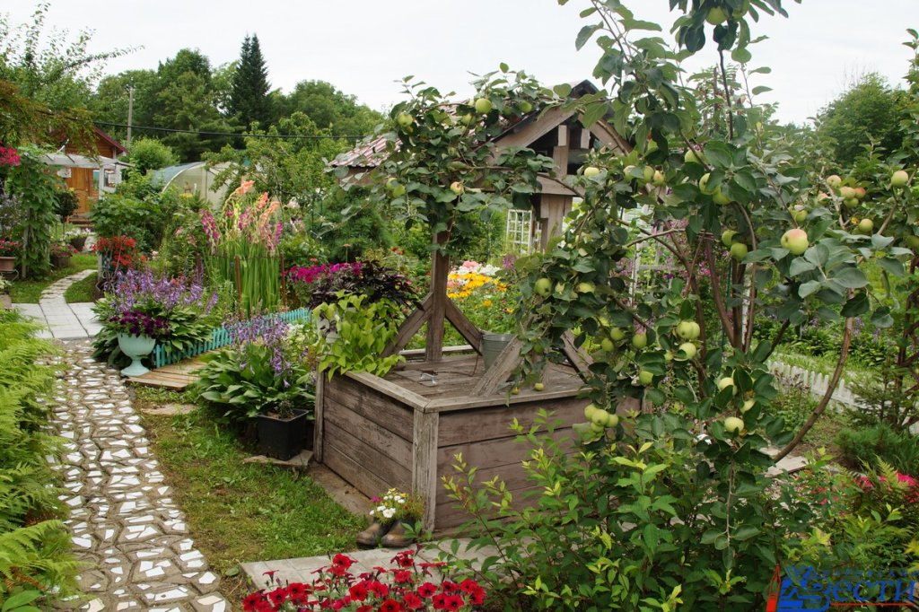 DSC08270.JPG