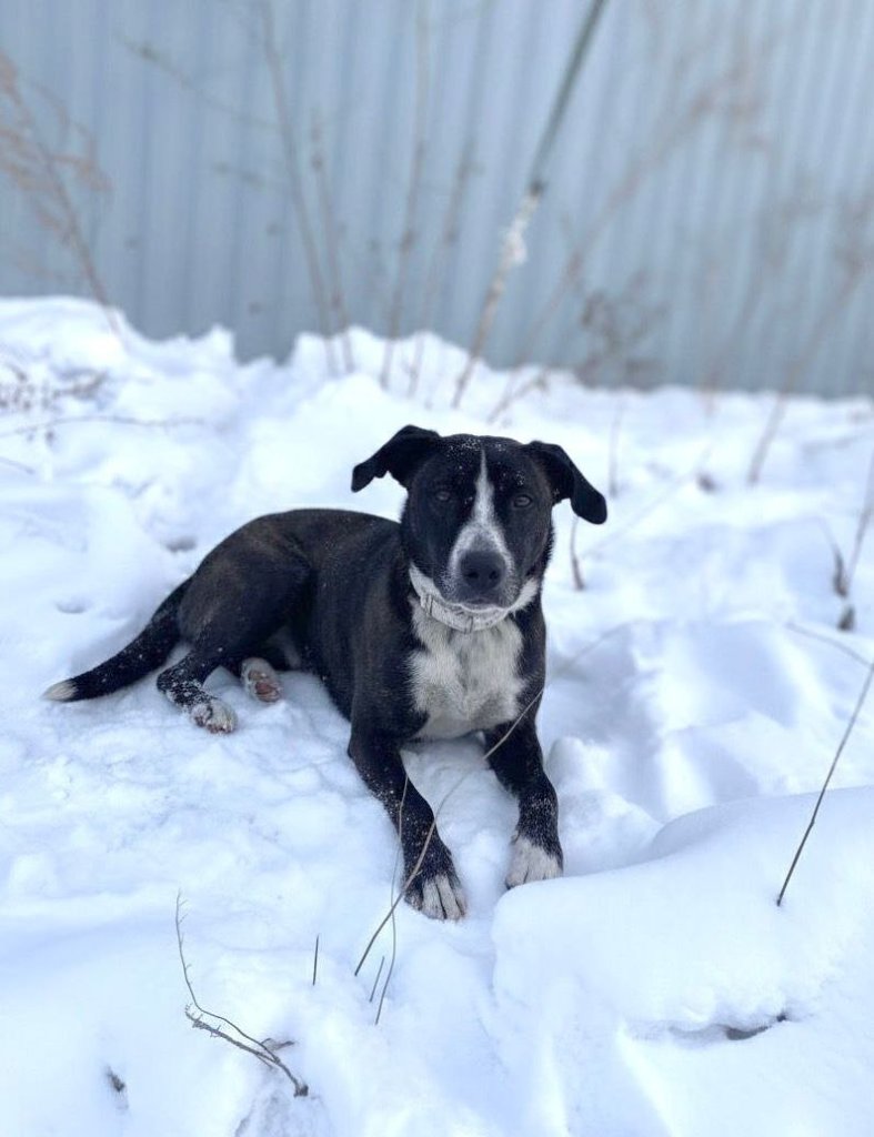 Девочка черная.jpg