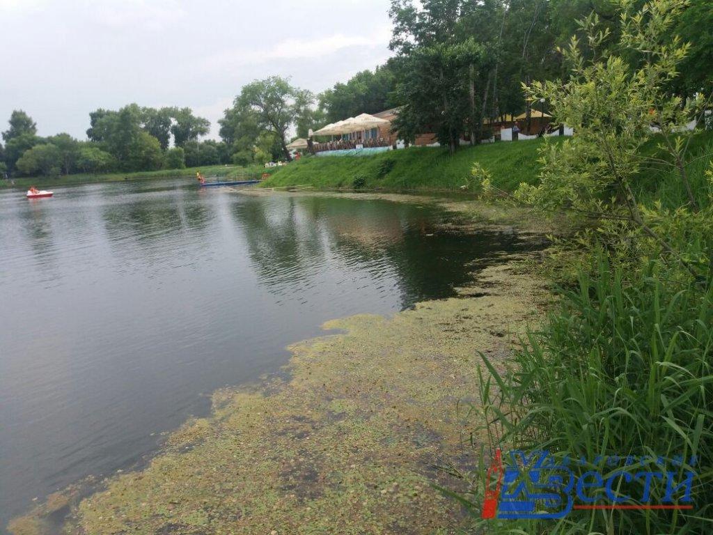 20200701_171041.jpg