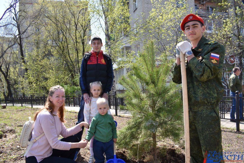 дерево центр.JPG