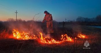 В Хабаровске спасатели на катерах потушили пал травы на острове Кабельный