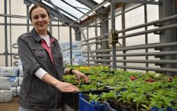 Близится сезон цветов