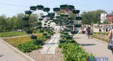 img-1