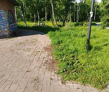 img-1