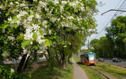 434 единицы транспорта вышли на маршруты Хабаровска сегодня