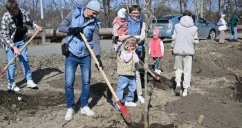 Более 4300 деревьев и кустарников высадили в этом году в Хабаровске