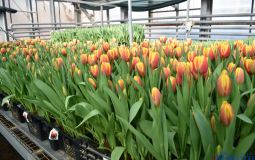 Городское хозяйство