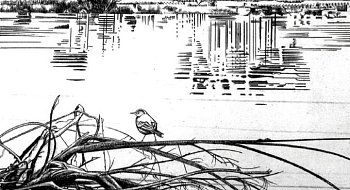 img-1