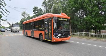 На «горячую линию» управления транспорта смогут обратиться хабаровчане