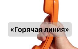 На «горячую линию» могут обратиться хабаровчане