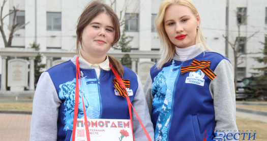 В Хабаровске подвели итоги акции «Красная гвоздика — 2025»