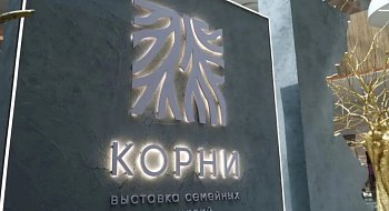 img-1