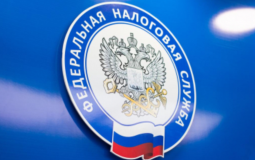 С 1 октября изменились правила взаимодействия самозанятых с платформами