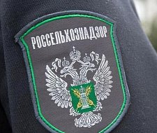 img-1
