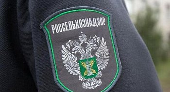 img-1