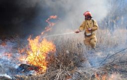 Первые лесные пожары зарегистрированы в Хабаровском крае