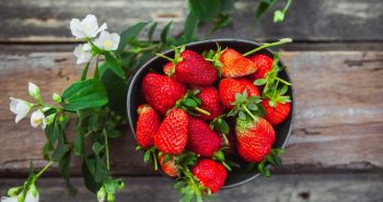 На своей земле