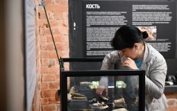 Новая выставка открывается 16 октября в музее археологии