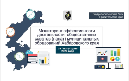 Общественная палата Хабаровска победила в эффективности деятельности