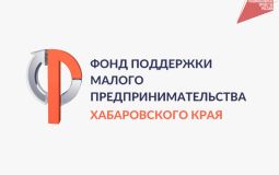 Свыше 116 млн рублей получил малый бизнес края по льготной программе