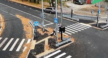 img-1