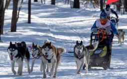 Спортивные мероприятия в Хабаровске на выходных