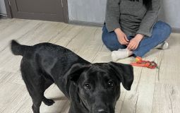 Пусть хвостик меня непременно найдет