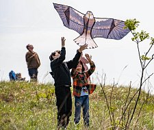 img-1