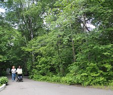 img-1