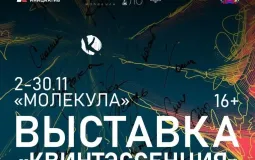 В Хабаровске в ноябре откроется интерактивная выставка «Квинтэссенция»