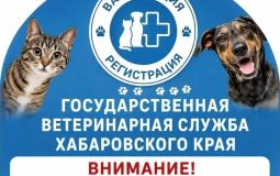 В Хабаровске пройдет выездная регистрация и вакцинация домашних животных